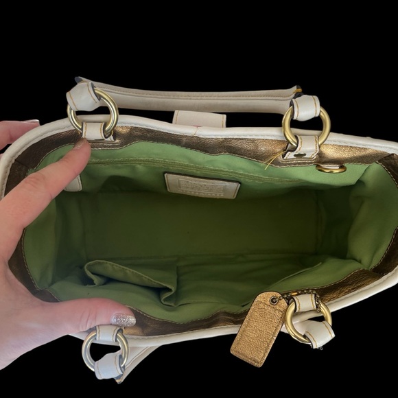 Coach Limited Edition Ladybug Leafy Crystal Woven Leather Shoulder Bag - Picture 11 of 15